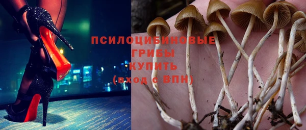 мет Россошь