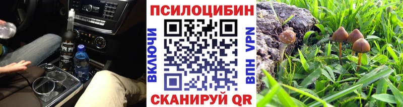 omg зеркало  Фатеж  Галлюциногенные грибы мухоморы  цена наркотик 